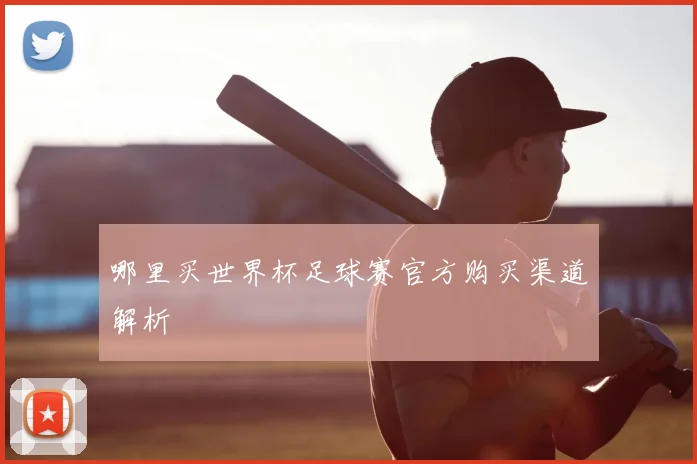 哪里买世界杯足球赛官方购买渠道解析