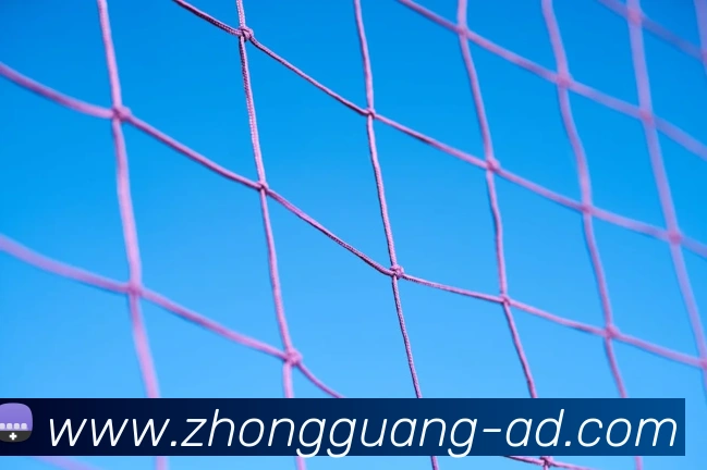 世界杯官网登录app平台生态图